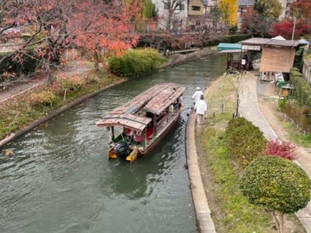 �\�ΑD_888(�g���v���G�C�g)�c�A�[