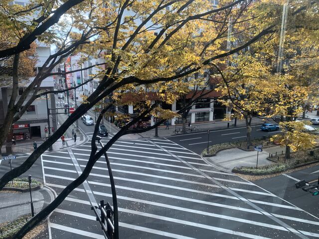 �r����4�K���猩�����B���̑傫����������܂����ˁB_��T����