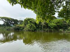 �V���^�C�i�[����̖��_�r�ւ̓��e�ʐ^1