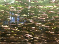 �V���^�C�i�[����̊C�̉w ��\�㗢�ւ̓��e�ʐ^1