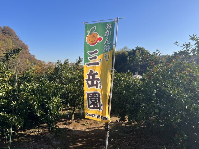 ���i�P_�O�x��