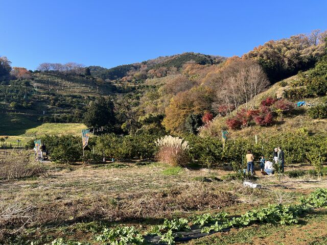 ���i�Q_�O�x��