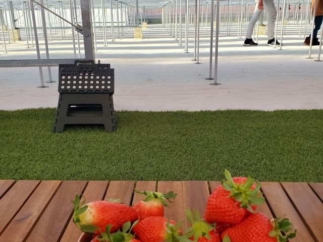 �s�N�j�b�N�G���A�ō����ăC�`�S��H�ׂ邱�Ƃ��ł��܂���_䕎� ��������襒���