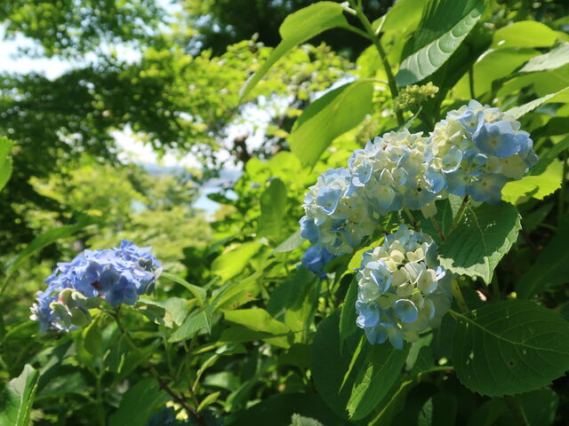 UHɍ炫n߂AWTC_J@]UH