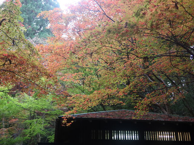 中野邸美術館もみじ園 | 新潟おでかけマップ