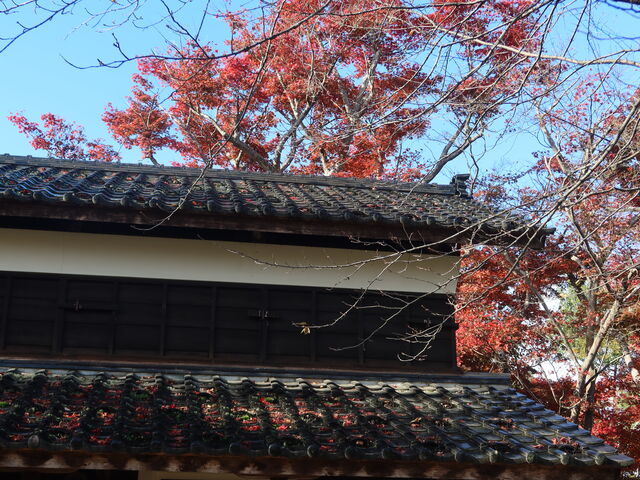 ǂ̎Rƍgt̎荇킹B_݂