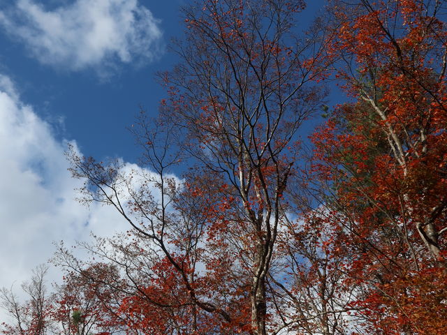 ̂т̂тƐ~W̑؂ƂB_݂