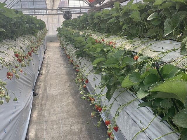 ��ނ��ƃ��[���ɂȂ��Ă܂�_���É�