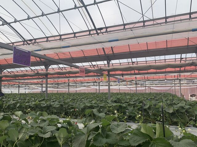 �͂��߂Č��邢��������R�����Ċ������I_���É�