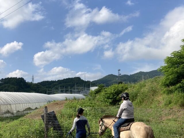 ΂̒ŁAn̔wɗhċCǂłB肪ۂۂ܂B_n̂鎛q