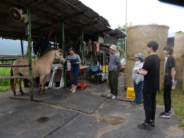 󂯂ĂAGTƃuVďn܂B߂ĔnGǂCyɊy߂܂B_n̂鎛q