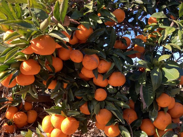 �Ȃ�ł����Ɉ�ĂĂ܂��ˁI_�X�g���x���[�G���W�F��