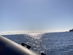 񂳂Seafari Japanւ̓eʐ^1