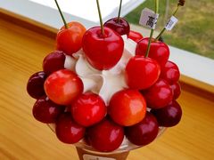 ���Ղ�������̉����ʎ����ւ̓��e�ʐ^1