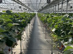 ܂̃bNt@[s(ƂnEX)ւ̓eʐ^1