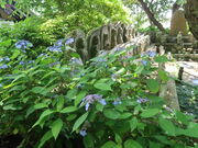 �x�s�d�������݂���̒��J���@���]�U���H�̓��e�ʐ^5