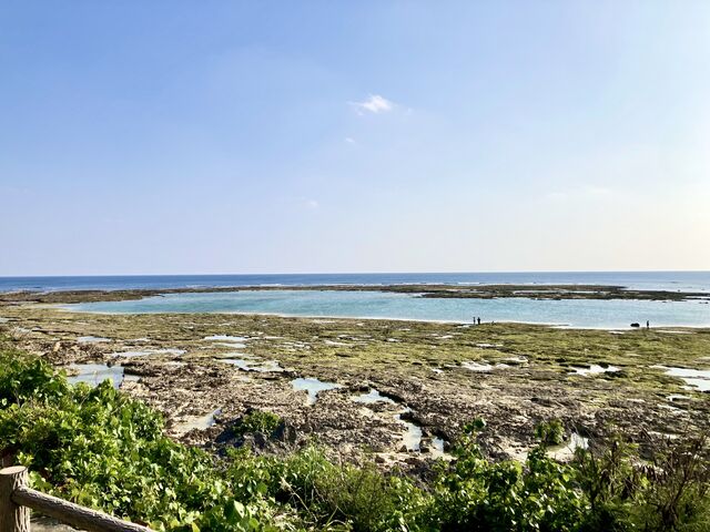 �V���m�[�P���ꏊ�̑�x�l�C�݁i���ǂ͂܁j_�V�F���V�[