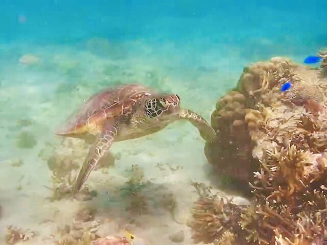 �������������E�~�K������_�V�F���V�[