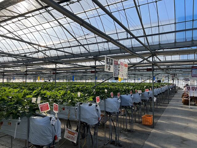 䕔�_�O�����������ّO�c