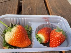 �q���^������̂����܂_���ւ̓��e�ʐ^1