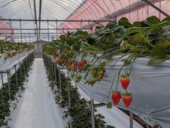 ܂݂̃TS^jqւ̓eʐ^2