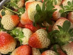 ܂邳SEN's Berry Farmւ̓eʐ^1