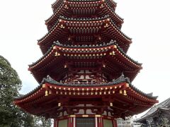 Shota����̕��Ԏ��i����t�j�ւ̓��e�ʐ^1