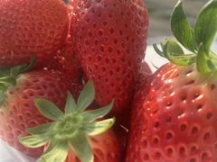 }}̕񂿂̂䕂ւ̓eʐ^2