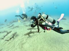 nanã_CrOVbvKIAORAւ̓eʐ^1