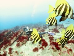 nanã_CrOVbvKIAORAւ̓eʐ^2