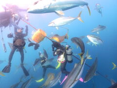 nanã_CrOVbvKIAORAւ̓eʐ^3