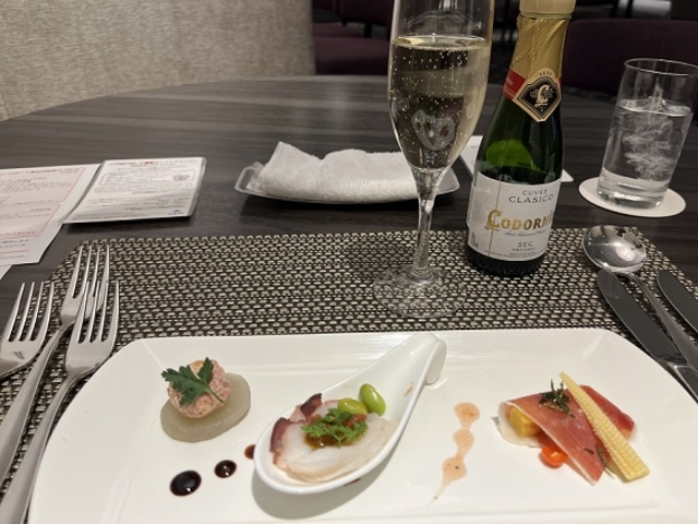 �I�[�h�u���ƒǉ����������X�y�C���Y�J���@_ANA�N���E���v���U�z�e���D�y