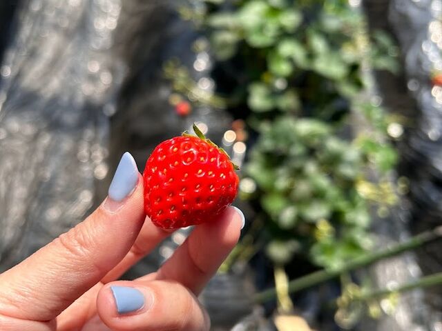 ���݂̂�_�S��������