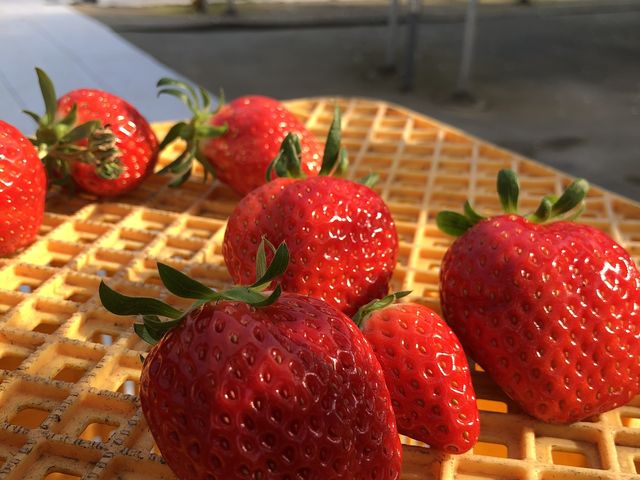 �����ڔ������傫���ĊÂ��ĂƂ��Ă����������C�`�S�ł����I_ICHIGOHOUSE HITACHINAKA