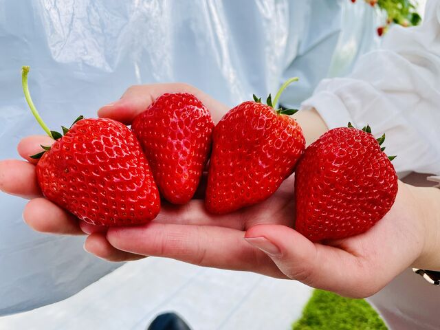 �ƂĂ��嗱_goone5