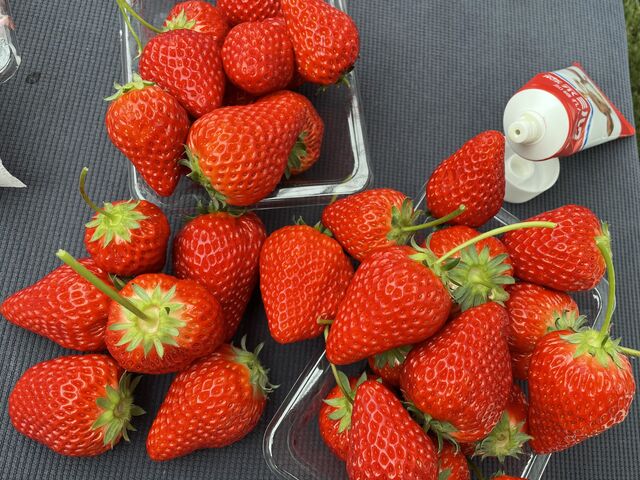 �������������ł�_goone5