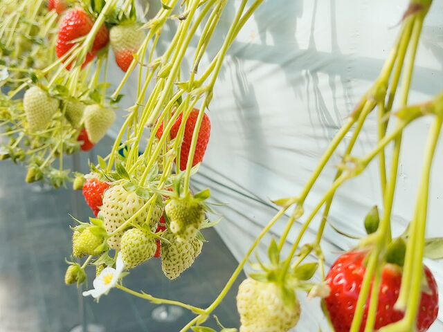 �����Ƃ����ԂɎ��Ԃ����Ă��܂��܂���[_�����̂������_��