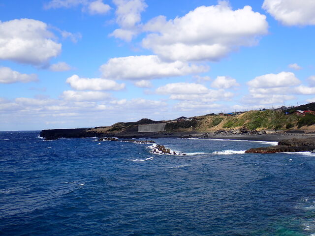 �K�P�l�C������