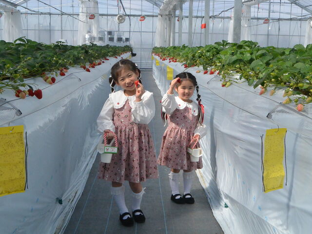 �L�X�����Y��ȃn�E�X��_Twins Farm �^����������