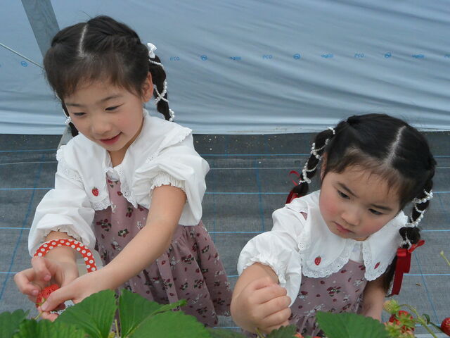 �������q�ł��E�ݎ��₷������_Twins Farm �^����������