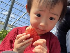 񂳂̂܂Ƃݔ_iەx_jւ̓eʐ^2