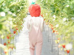 �}�� �����������̎ʐ^2