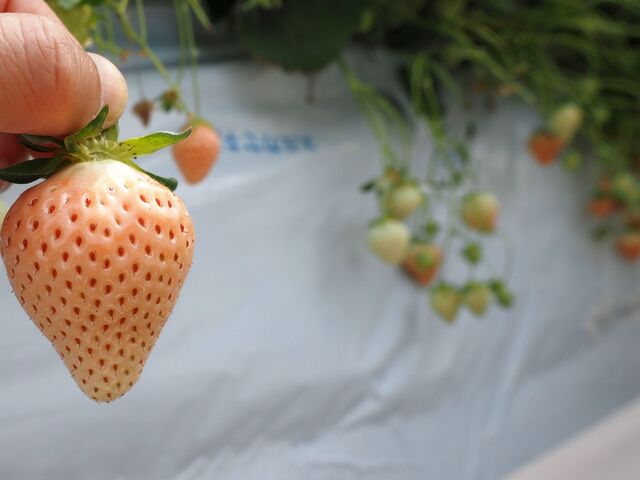 �����������͂܂��܂��������ł��ˁB_���c��������