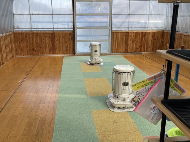 �h�[���D�̒�_�⓴��