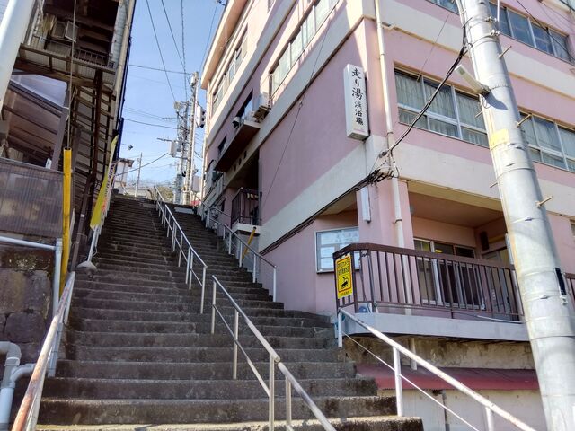 ���蓒�l����͈ɓ��R�_�Ђ̎Q��(�K�i)�����ɂ���_�ɓ��R����