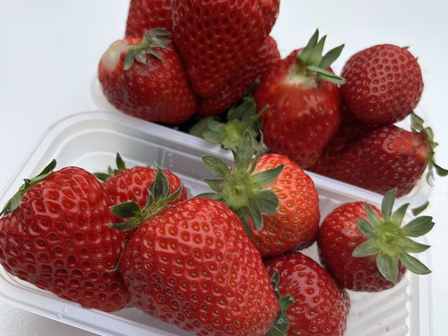 ���������Ȃ�ł͂̑傫�Ȋ��n�C�`�S���������������ł�_�x���[�Y�t�@�[���@FUSHIMI