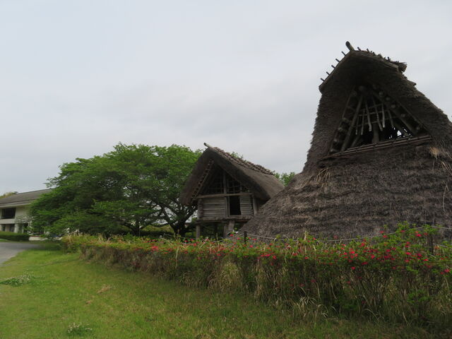 �F�{�s�ˌ����j����������
���O�W��_�F�{�s�ˌ����j����������