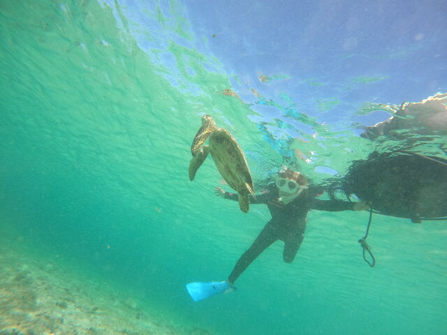 �܂����Ō���čK���I
�Ƃ��Ă����킢���I�I
_Blue Turtle Ocean Sports