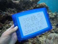 񂳂̃}T[rXނʁ[ւ̓eʐ^1