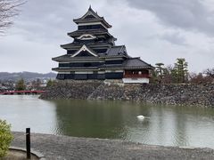 eB~X̏{l͎Ԃ̉ւ̓eʐ^1